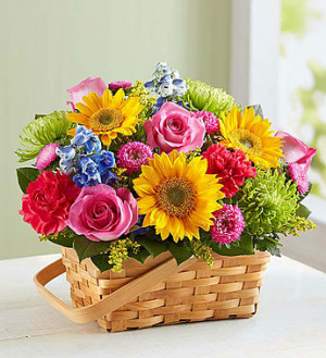 Garden Basket Basket in Sunrise, FL | FLORIST24HRS.COM Garden Basket Basket in Sunrise, FL | FLORIST24HRS.COM