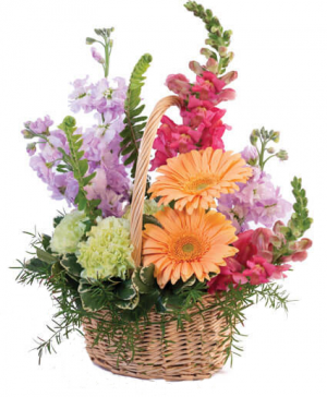 Garden Basket basket arrangement in North Adams, MA | MOUNT WILLIAMS GREENHOUSES INC Garden Basket basket arrangement in North Adams, MA | MOUNT WILLIAMS GREENHOUSES INC