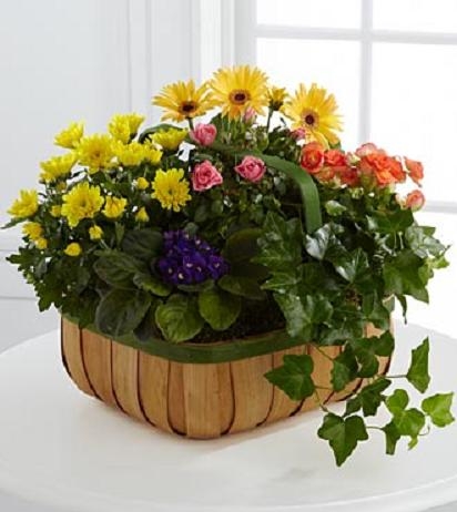Garden Basket Funeral Flowers