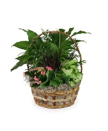 Garden Basket Basket of Plants in Clearwater, KS | Iris Blossoms