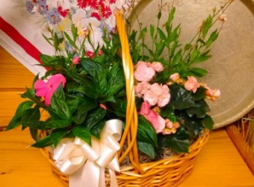 Potted Annual Garden Basket Potted annuals to be enjoyed all summer