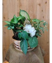 Garden Basket with Botanical 