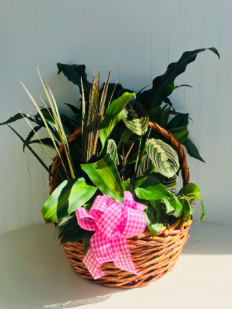 Garden Basket with Bow 