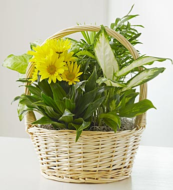 Garden Basket with Fresh Cut Flowers For More Info Call: (805)653-6929