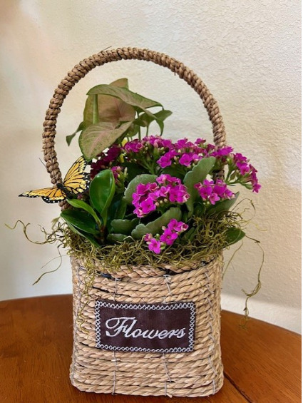 Garden Blooms