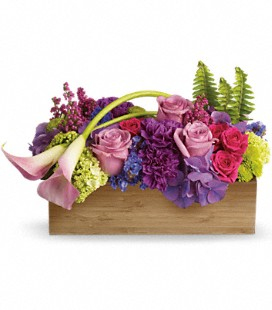 Garden Box
