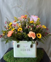 Garden Box Galore 