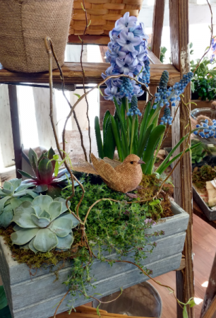 Garden Box Home