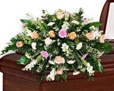 Category Image