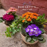 Garden Ceramic Planter