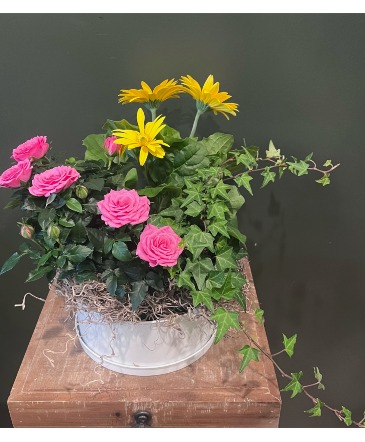 Garden For Mom mixed plants  in Stony Brook, NY | Village Florist And Events