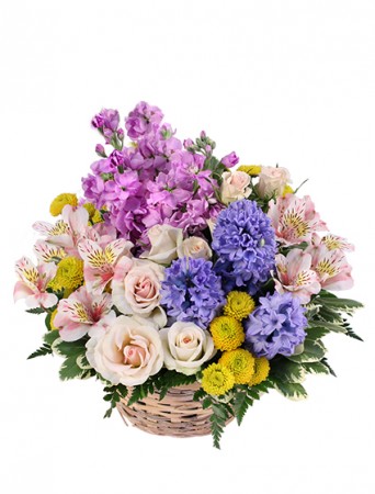 Fragrant Garden Arrangement in Kissimmee, FL | Amor Florist & Gift Baskets