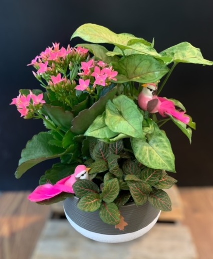 Garden Friends Planter Tropical Planter