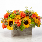 Happy Harvest Garden Fall