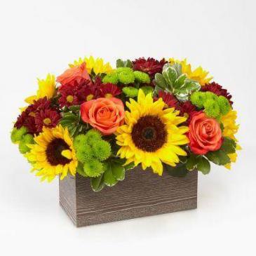 Happy Harvest Garden Bouquet
