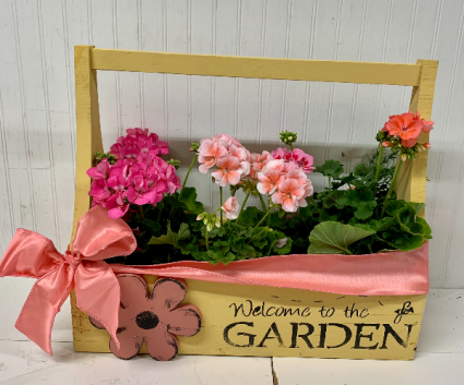 Garden Geranium Wooden Planter