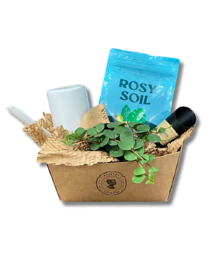 Garden Gift Bundle