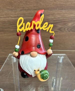 Garden Gnome Gnome