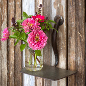 Garden Hoe Shelf Gifts