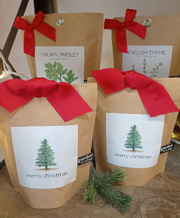 Garden in a bag Xmas-tree and Herbs in Glastonbury, CT | THE FLOWER DISTRICT