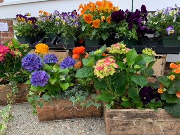 Happiness in a Garden  Box Outdoor Planter Box in Northport, NY | Hengstenberg's Florist