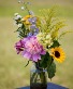 Garden in a Jar 