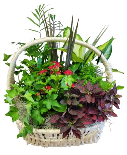 Garden Mixed Planter Basket 