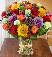 167667 Garden of Grandeur™ for Fall  