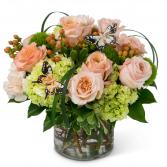Garden of Gratitude Arrangement