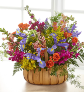 Garden of Life Basket 