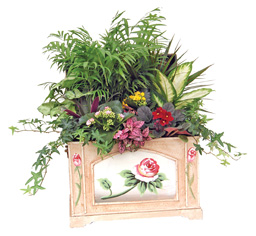 Garden of Love Planted tropical and blooming plants