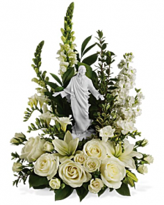 Category Image