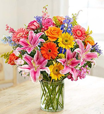 Garden Pathway Arrangement