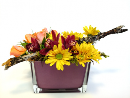 Garden Smile Container Arrangement