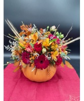 Autumns Joy terra cotta pumpkin