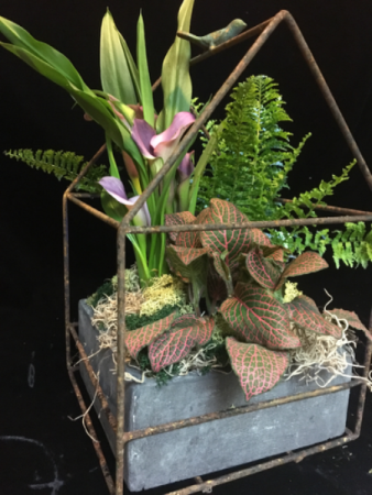 Garden Theory