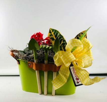 Garden Tinkerer Dish Garden of Plants