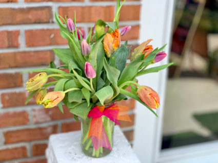 Garden Tulips 