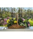 Garden Walk Basket Basket Arrangement