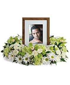 Category Image