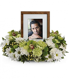 Category Image