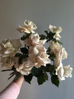 Gathered Vintage Blush Roses Handtied Bouquet in Toronto, ON | BOTANY FLORAL STUDIO Gathered Vintage Blush Roses Handtied Bouquet in Toronto, ON | BOTANY FLORAL STUDIO