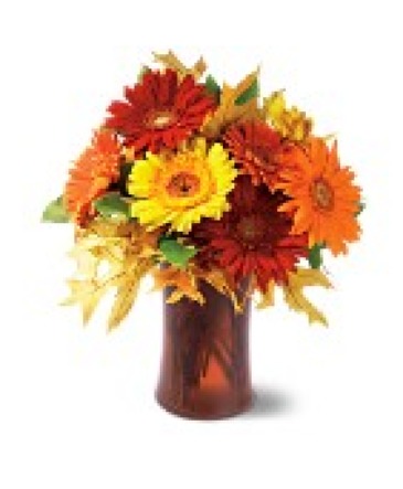 Gathering of Gerbera Daisys Fall Floral