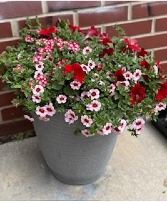 Geisha Girl Combo Patio Pot
