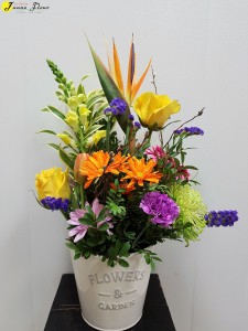 General-Flowers & Garden