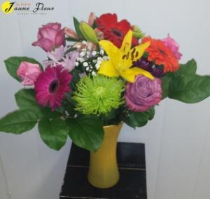 Gen-Rainbow of Color in Red Deer, AB | LA PETITE JAUNE FLEUR Gen-Rainbow of Color in Red Deer, AB | LA PETITE JAUNE FLEUR