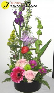 Category Image