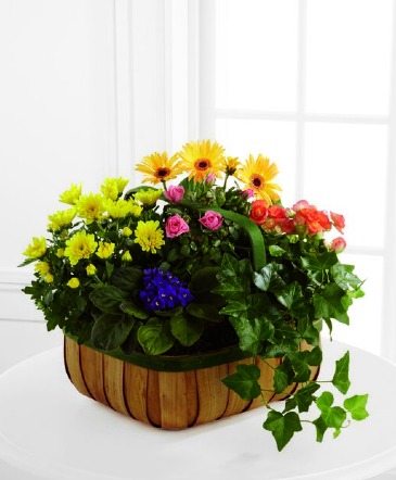 GENTLE BLOSSOMS BASKET in Williamsburg, VA | Blessing and Blooms Florist GENTLE BLOSSOMS BASKET in Williamsburg, VA | Blessing and Blooms Florist