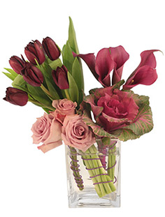 Gentle Magenta Arrangement