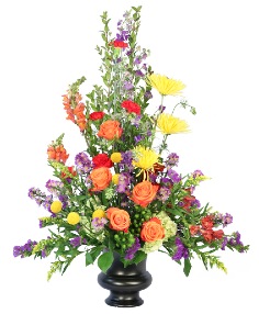Category Image